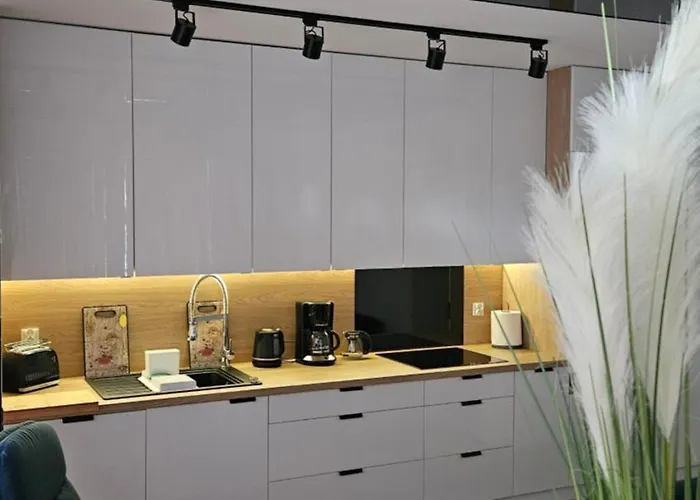 Salt Island Apartament 코워브제크