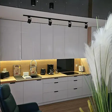 Salt Island Apartament コウォブジェク