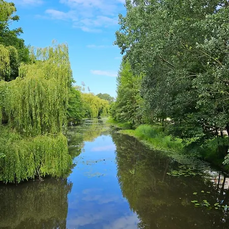 Salt Island Apartament アパート *